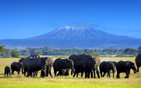 3 nachten safari: Tsavo East / Amboseli / Saltlick 