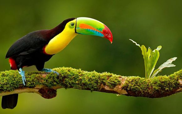 Welkom in ... Costa Rica!