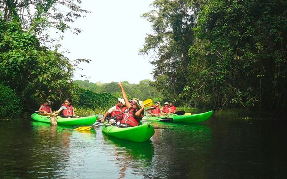 Gamboa Rainforest Reserve