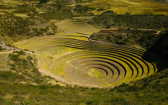 Uw reisprogramma in 7 nachten