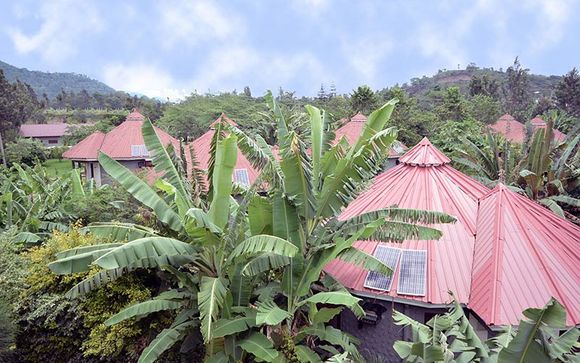 Uw safari reisprogramma