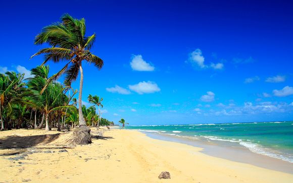 Hotel Excellence El Carmen 5 Punta Cana Tot 70 Voyage Prive