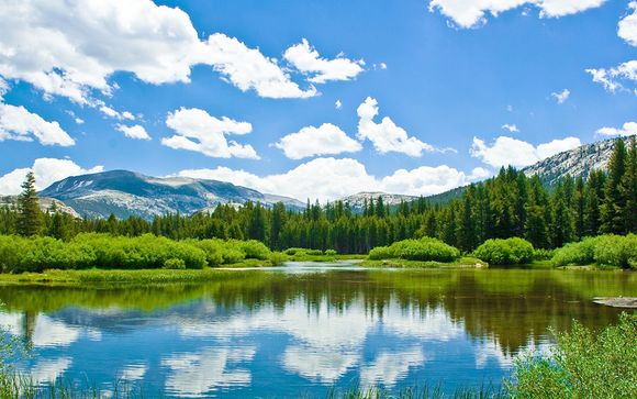 Welkom in... Seattle