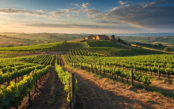 Your itinerary in detail