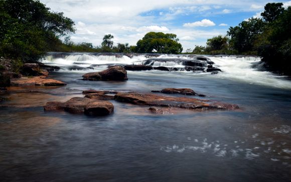 Your optional extras