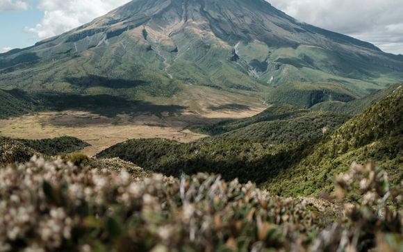 Optional excursions and extras