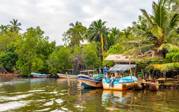 Your optional excursions