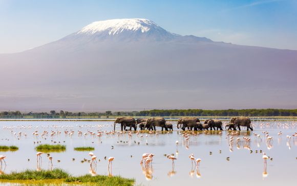 Your safari itinerary in brief