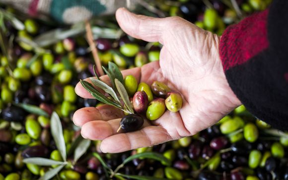 Your optional excursions