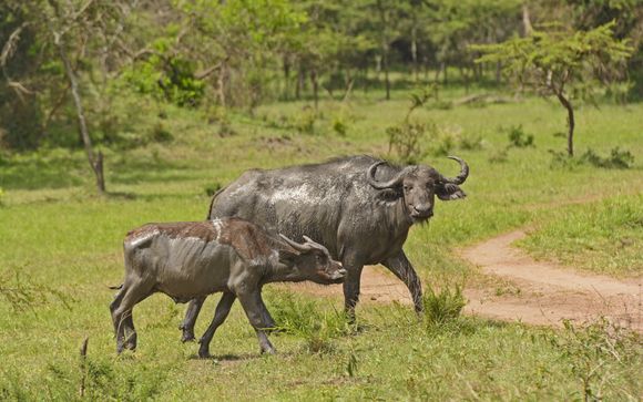 Your itinerary in detail