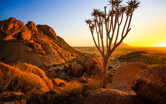 Your itinerary in detail