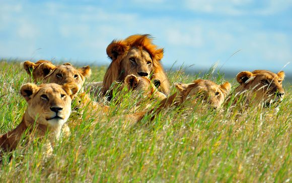 Your itinerary in detail