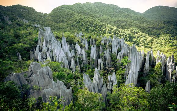 Your itinerary in detail