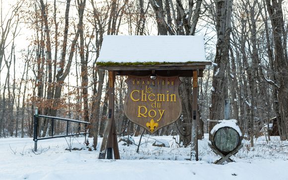 Your optional excursions & extras