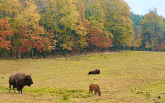 Your included extras & excursions 