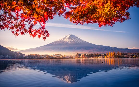 Your itinerary in detail