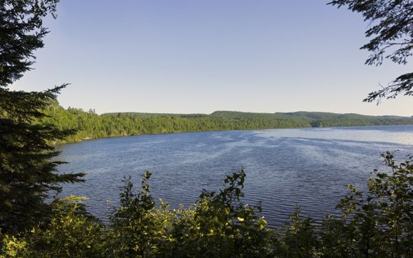 Your itinerary in detail