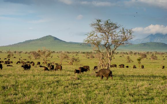 Your itinerary in detail