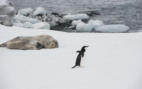 Your itinerary in detail