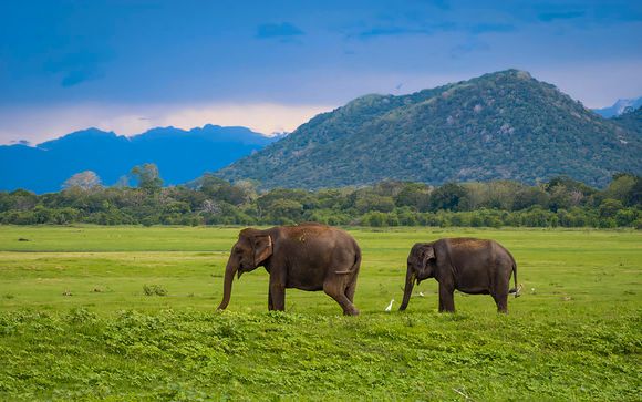 Your itinerary in detail