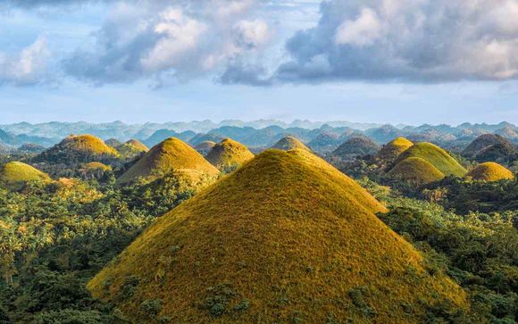 Your itinerary in detail