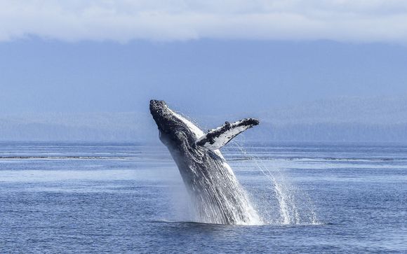 Optional excursions & extras