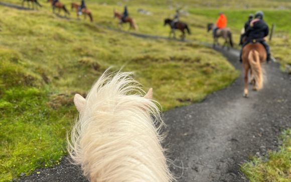 Your optional excursions & extras