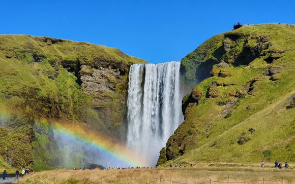 Your itinerary in detail