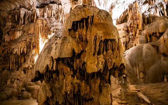 Optional excursions & extras