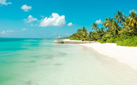 Welcome to The Maldives