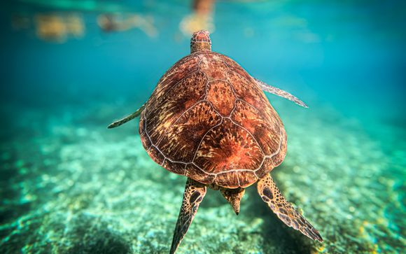 Your itinerary in detail