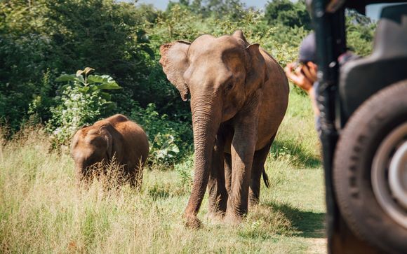 Your optional excursions & extras