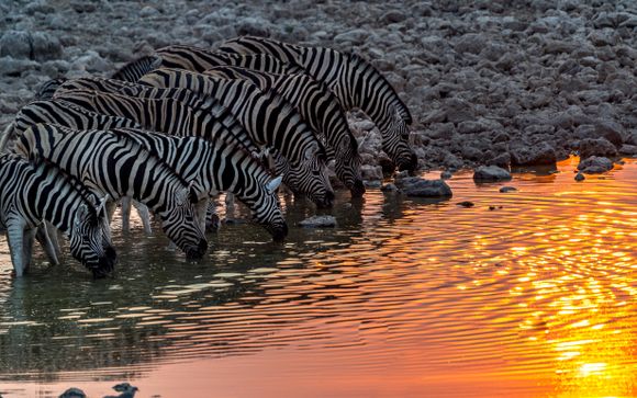 Your itinerary in detail