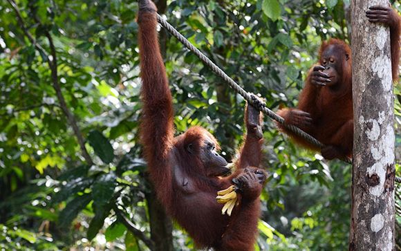 Your itinerary in brief