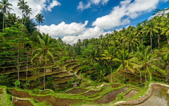 Welcome to Indonesia