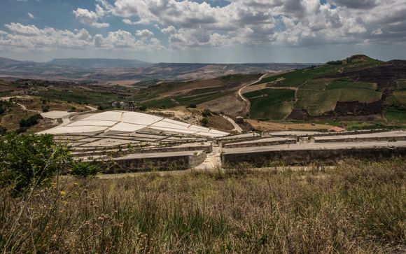 Your optional excursions