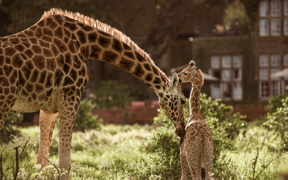 Your included extras & excursions 