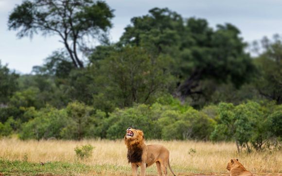 5-12 night safari: Grace of Africa 5*