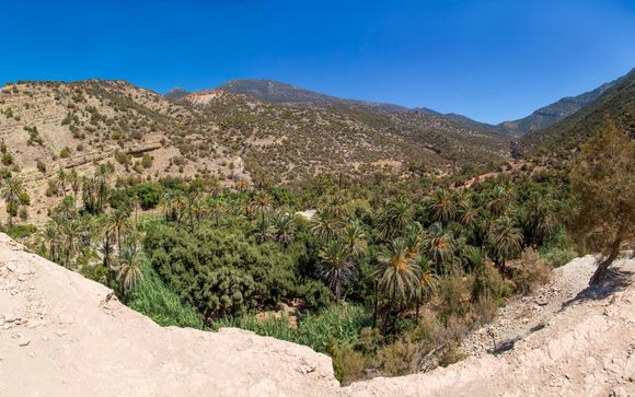 Your itinerary in detail