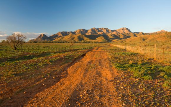 Your itinerary in detail