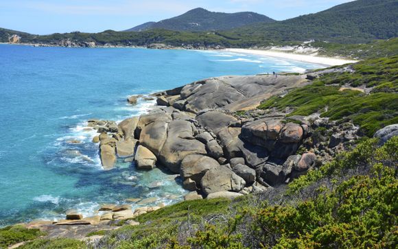 Your itinerary in detail