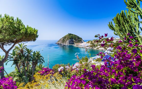 Your itinerary in detail