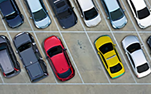 Your optional services