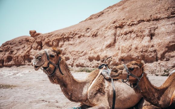 Your itinerary in detail