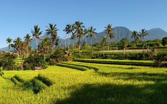 Welcome to Indonesia