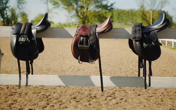 Your optional excursions & extras