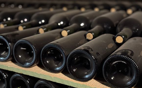 Your optional excursions & extras