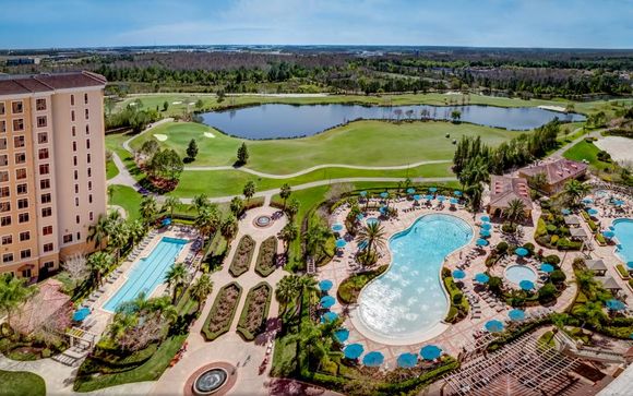 Your hotels