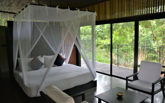 Your room