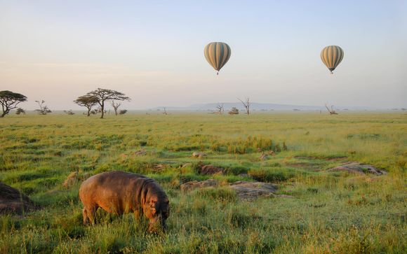 Your optional extras & excursions 